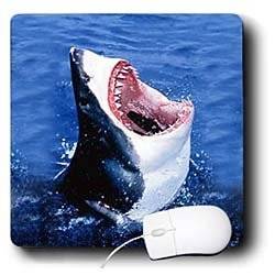 Sharks   Great White Shark   Mouse Pads