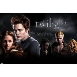  TWILIGHT Group NEW MOVIE POSTER: Everything Else