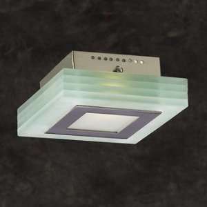  1462 SN Acid Frost Slim Wall/Ceiling Fixture: Home 