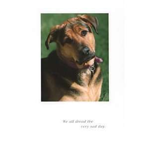  Mixed Breed Pet Sympathy Card