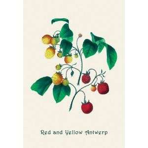  Vintage Art Red and Yellow Antwerp   04152 8: Home 