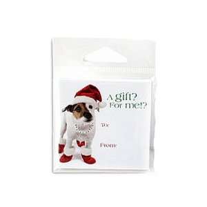 Funny Jack Russell Terrier Dog in Santa Hat Christmas Holiday Gift 