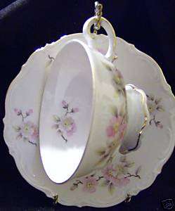 Mitterteich Bavaria Germany Cup and Saucer Springtime  
