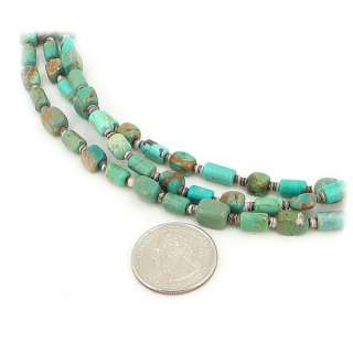 Natural Green Kingman Turquoise Shell Bead Necklace  
