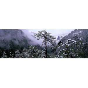 Yosemite Valley in Winter, Yosemite National Park, California, USA 