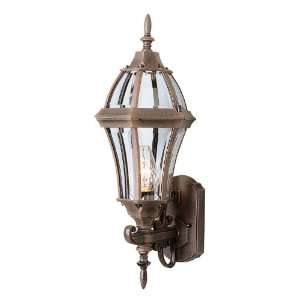  Trans Globe Lighting 4512 BG pendant lantern: Home 