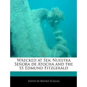   and the SS Edmund Fitzgerald (9781171164579) Beatriz Scaglia Books