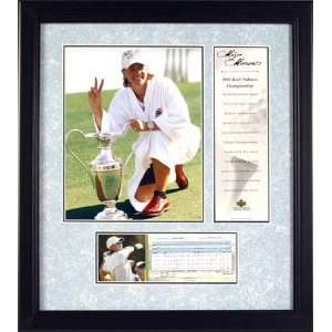  UD Annika Sorenstam 17x19 Framed 2002 Nabisco Sports 