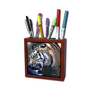  Tigers   Teger at play   Tile Pen Holders 5 inch tile pen 