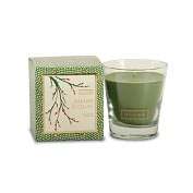 Product Image. Title: Balsam & Cedar Demi Glass Candle