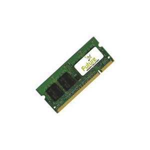  Future Memory 1GB DDR2 SDRAM Memory Module Electronics