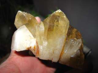 415g HUGE tibetan CITRINE Quartz Crystal Cluster AWESOME FORM  