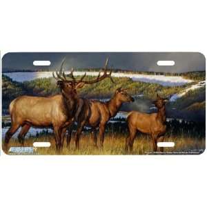 6538 Prelude Elk License Plate Car Auto Novelty Front Tag by Nancy 