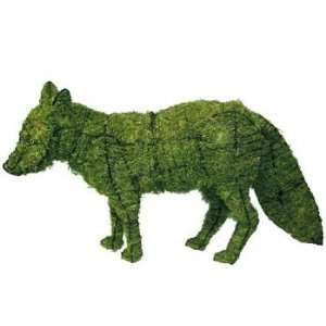  Fox 13 Mossed Topiary Frame: Home & Kitchen