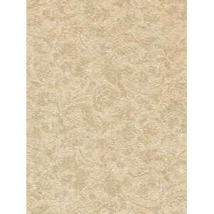  Wallpaper Patton Wallcovering Focal Point 7993158: Home 