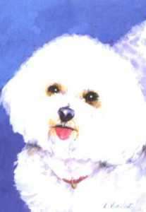 Bichon Dog Large House Flag Best of Breed #37  