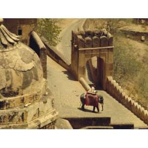  Elephant at the Red Fort, Agra, Uttar Pradesh State, India 