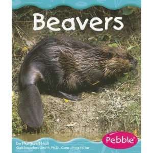  Beavers (Wetland Animals) [Paperback] Hall Books