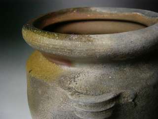 Japanese BIZEN MIZUSASHI water jar artist Syosuke Baba  