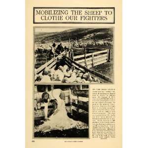  1918 Print Sheep Wool Clothing War Shear Wartime Animal 