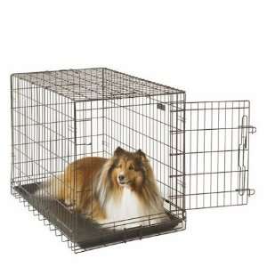 Economy Crate Black Folding Wire Dog Crate Size: Medium (35 D x 24 W 
