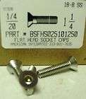20x1 1/4 Flat Socket Cap Screw Stainless Steel (11)