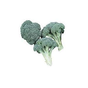  Broccoli Premium Crop Hybrid Great Vegetable 100 Seeds 
