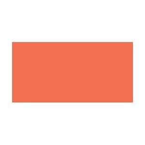   Paint 4 Ounces/Pkg Neon Orange; 3 Items/Order: Arts, Crafts & Sewing