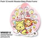 Winnie the Pooh Baby Girl Bottle 12 Month Photo Frame