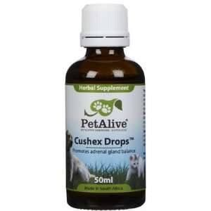 Cushex Drops for Adrenal & Pituitary Gland Health (Quantity of 1)