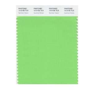   SMART 14 0156X Color Swatch Card, Summer Green