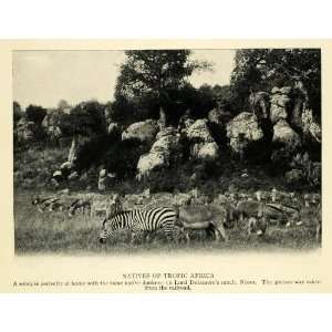 1914 Print Njoro Africa Lord Delamere Ranch Safari   Original Halftone 