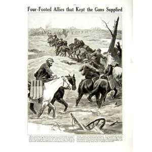  1917 WORLD WAR SIR HUBERT POER GOUGH SOLDIERS HORSES: Home 