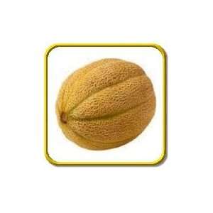  1/4 Lb   Honey Rock   Bulk Melon Seeds: Patio, Lawn 