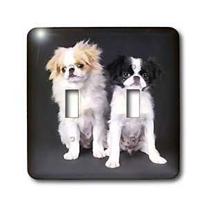 Dogs Japanese Chin   Japanese Chin   Light Switch Covers   double 