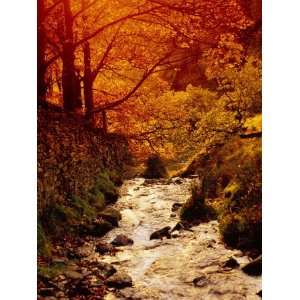  Fall Foliage and Running Stream, Grindsbrook Edale, Peak 