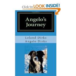   Collies Quest for Home [Paperback] Leland Dirks  Books