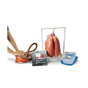  Replacement Air Pump for Inflatable Lung Kits: Health 