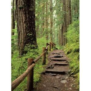  with Trail, Sol Duc Valley, Olympic National Park, Washington 