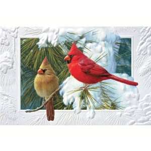  Candid Cardinals Xmas (Greeting Cards) (Christmas 