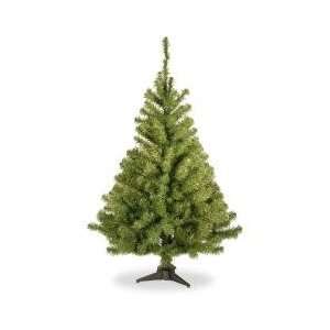    4 Kincaid Spruce Christmas Tree   Tree Shop: Home & Kitchen