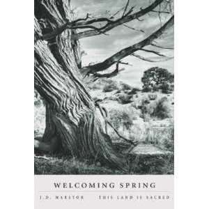  Welcoming Spring E Poster Print