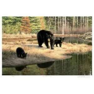    Black Bear Family by Claudio DAngelo, 20x14