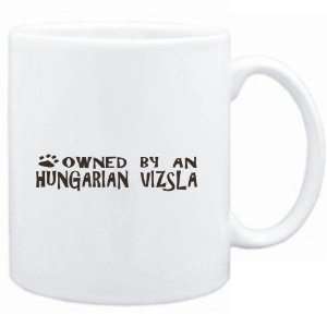    Mug White  OWNED BY Hungarian Vizsla  Dogs: Sports & Outdoors