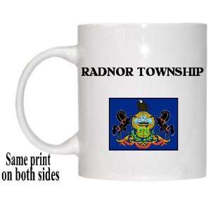   State Flag   RADNOR TOWNSHIP, Pennsylvania (PA) Mug: Everything Else
