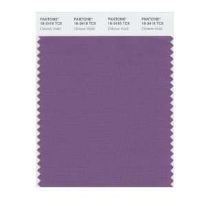   SMART 18 3418X Color Swatch Card, Chinese Violet: Home Improvement