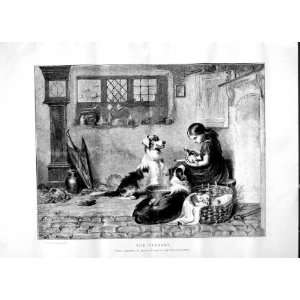   1870 YOUNG GIRL ORPHAN LAMBS SHEEP DOGS ANTIQUE PRINT