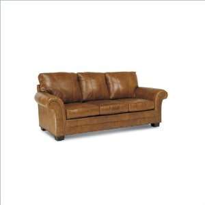   Distinction Leather Hanover Queen Size Sleeper Sofa: Furniture & Decor