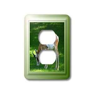 SmudgeArt Photography Art Designs   Zoo Antelope   Light Switch Covers 