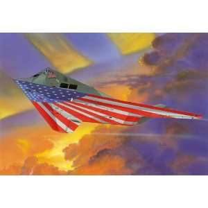   Nighthawk Stars & Stripes US AF Stealth Aircraft Kit: Toys & Games